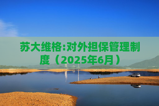 苏大维格:对外担保管理制度（2025年6月）