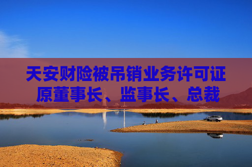 天安财险被吊销业务许可证 原董事长、监事长、总裁等均被罚 第1张 天安财险被吊销业务许可证 原董事长、监事长、总裁等均被罚 第1张