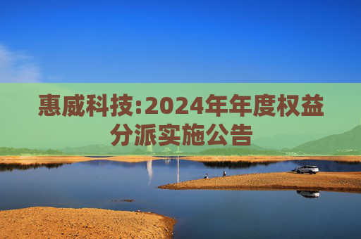 惠威科技:2024年年度权益分派实施公告