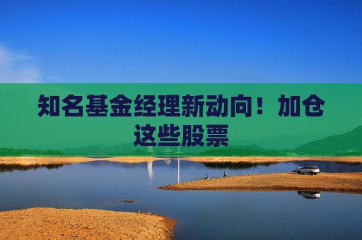 知名基金经理新动向!加仓这些股票
