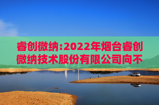 睿创微纳:2022年烟台睿创微纳技术股份有限公司向不特定对象发行可转换公司债券定期跟踪评级报告