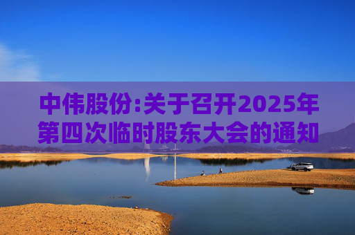 中伟股份:关于召开2025年第四次临时股东大会的通知  第1张