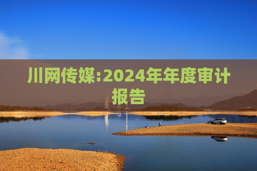 川网传媒:2024年年度审计报告