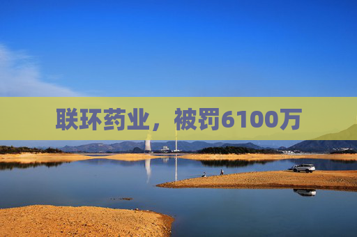 联环药业,被罚6100万