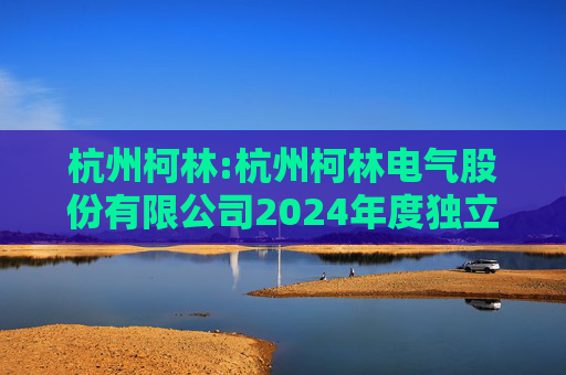 杭州柯林:杭州柯林电气股份有限公司2024年度独立董事述职报告（毛卫民）  第1张