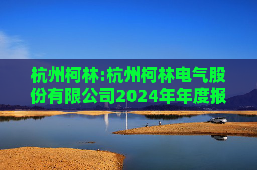 杭州柯林:杭州柯林电气股份有限公司2024年年度报告