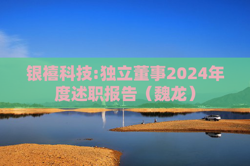银禧科技:独立董事2024年度述职报告（魏龙）