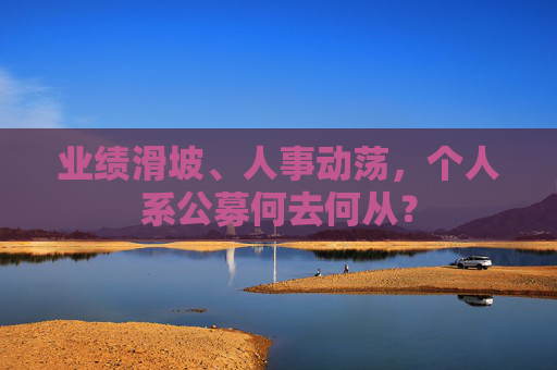 业绩滑坡、人事动荡，个人系公募何去何从？