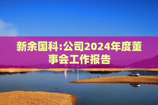 新余国科:公司2024年度董事会工作报告