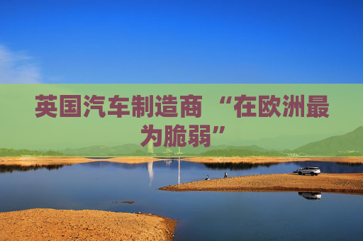 英国汽车制造商 “在欧洲最为脆弱”