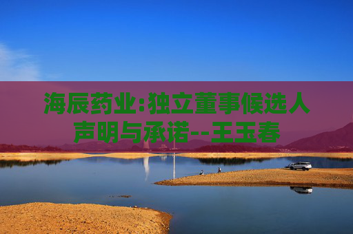 海辰药业:独立董事候选人声明与承诺--王玉春  第1张