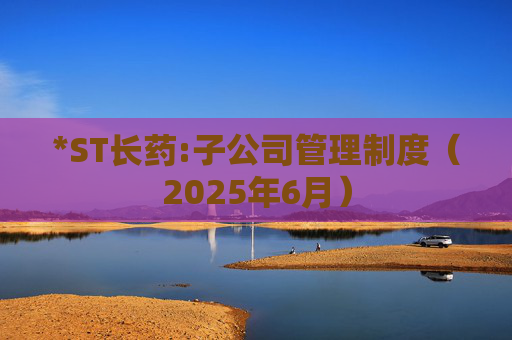 *ST长药:子公司管理制度（2025年6月）  第1张
