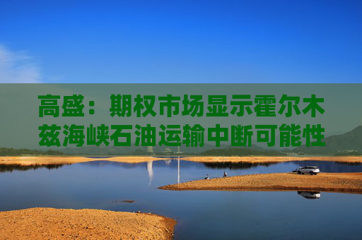 高盛:期权市场显示霍尔木兹海峡石油运输中断可能性很小 第1张 高盛:期权市场显示霍尔木兹海峡石油运输中断可能性很小 第1张