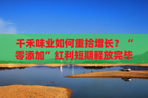 千禾味业如何重拾增长？“零添加”红利短期释放完毕 股价下跌控股股东融资参与的定增被套