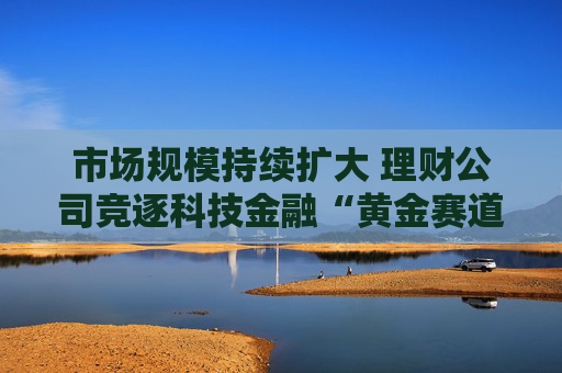 市场规模持续扩大 理财公司竞逐科技金融“黄金赛道” 第1张 市场规模持续扩大 理财公司竞逐科技金融“黄金赛道” 第1张