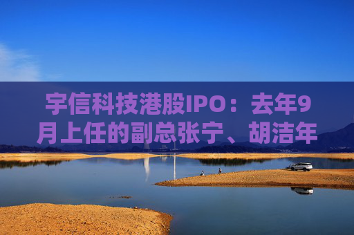 宇信科技港股IPO：去年9月上任的副总张宁、胡洁年薪百万，2015年上任的副总郑春年薪73.5万