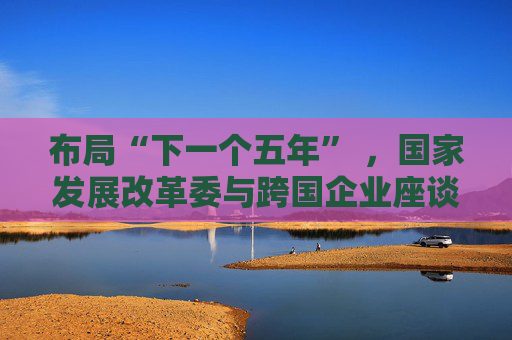 布局“下一个五年” ，国家发展改革委与跨国企业座谈会举行