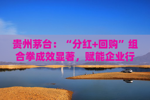 贵州茅台:“分红+回购”组合拳成效显著,赋能企业行稳致远