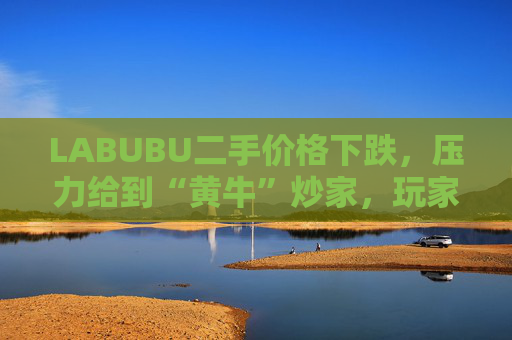 LABUBU二手价格下跌,压力给到“黄牛”炒家,玩家:持续断货只会消耗热情 第1张 LABUBU二手价格下跌,压力给到“黄牛”炒家,玩家:持续断货只会消耗热情 第1张