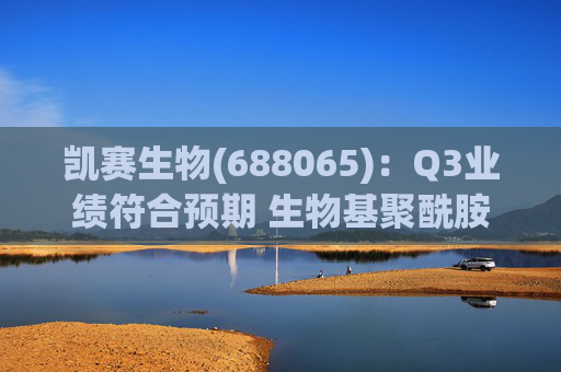 凯赛生物(688065)：Q3业绩符合预期 生物基聚酰胺复材商业化持续推进