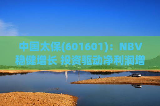中国太保(601601)：NBV稳健增长 投资驱动净利润增速提升