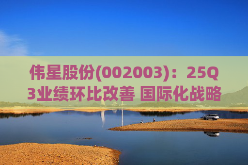 伟星股份(002003)：25Q3业绩环比改善 国际化战略保障成长