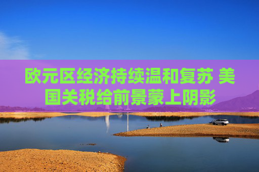欧元区经济持续温和复苏 美国关税给前景蒙上阴影  第1张
