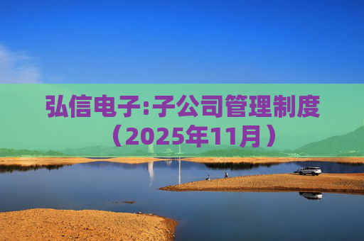 弘信电子:子公司管理制度(2025年11月)