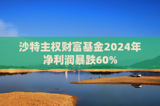 沙特主权财富基金2024年净利润暴跌60% 第1张 沙特主权财富基金2024年净利润暴跌60% 第1张