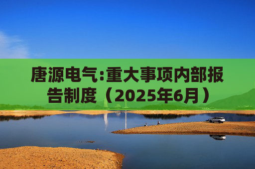 唐源电气:重大事项内部报告制度（2025年6月）  第1张