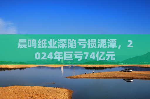 晨鸣纸业深陷亏损泥潭，2024年巨亏74亿元
