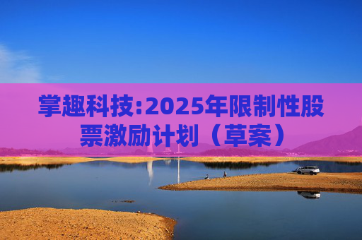 掌趣科技:2025年限制性股票激励计划（草案）