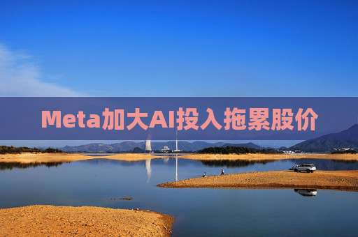Meta加大AI投入拖累股价