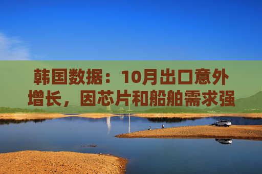 韩国数据:10月出口意外增长,因芯片和船舶需求强劲