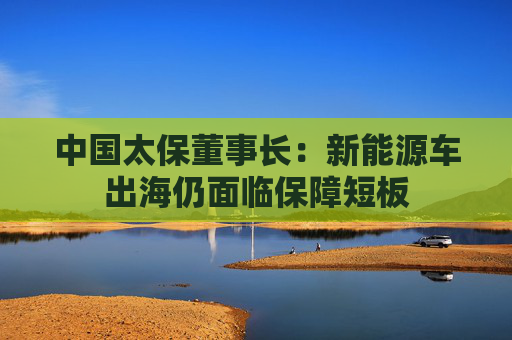 中国太保董事长：新能源车出海仍面临保障短板