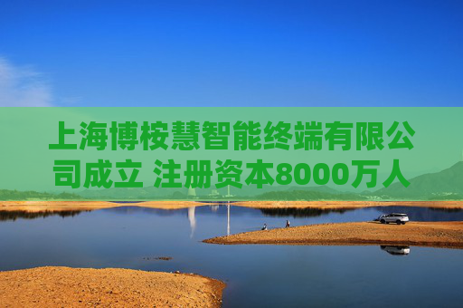 上海博桉慧智能终端有限公司成立 注册资本8000万人民币  第1张