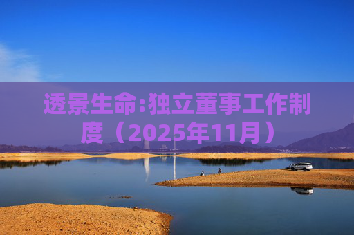 透景生命:独立董事工作制度（2025年11月）