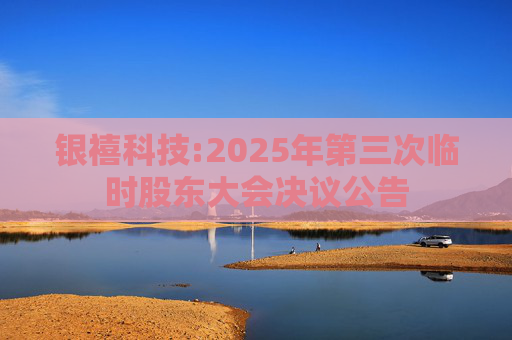 银禧科技:2025年第三次临时股东大会决议公告