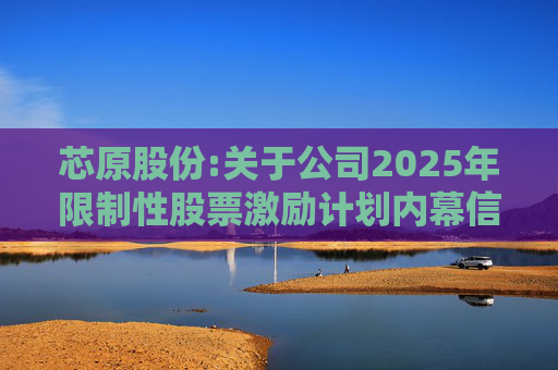 芯原股份:关于公司2025年限制性股票激励计划内幕信息知情人买卖公司股票情况的自查报告