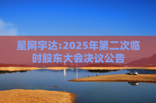 星网宇达:2025年第二次临时股东大会决议公告