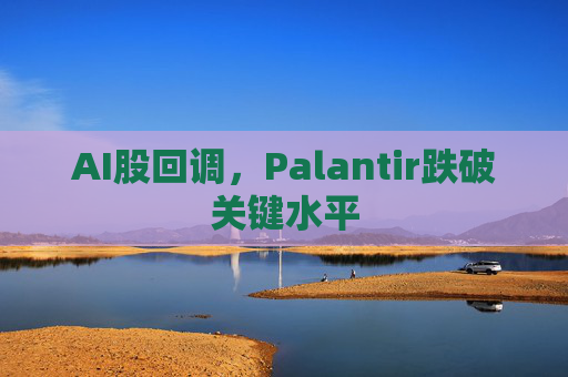AI股回调，Palantir跌破关键水平