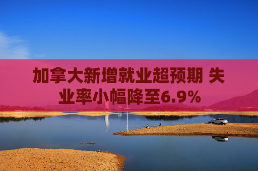 加拿大新增就业超预期 失业率小幅降至6.9%