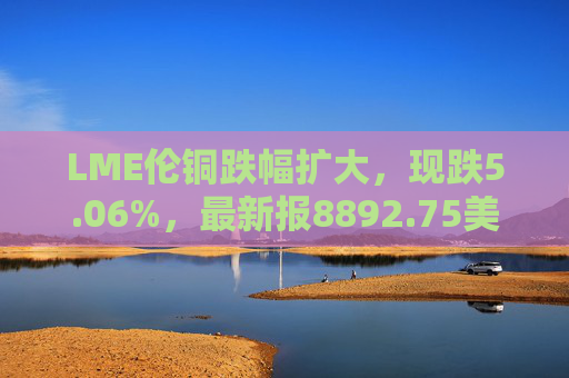 LME伦铜跌幅扩大，现跌5.06%，最新报8892.75美元/吨