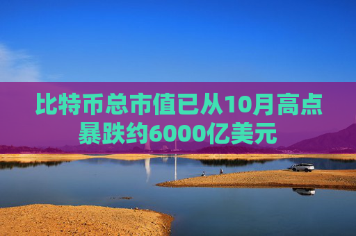 比特币总市值已从10月高点暴跌约6000亿美元  第1张