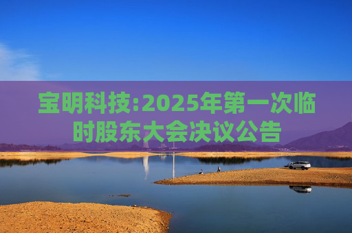 宝明科技:2025年第一次临时股东大会决议公告  第1张