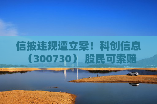信披违规遭立案！科创信息 （300730） 股民可索赔