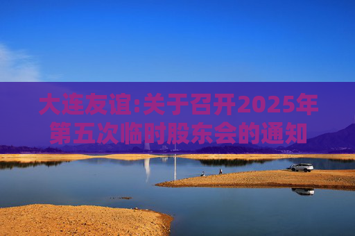 大连友谊:关于召开2025年第五次临时股东会的通知