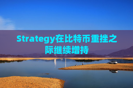Strategy在比特币重挫之际继续增持  第1张