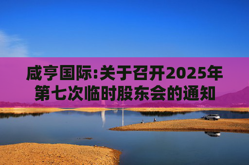 咸亨国际:关于召开2025年第七次临时股东会的通知  第1张