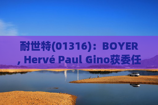 耐世特(01316)：BOYER, Hervé Paul Gino获委任为执行董事